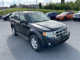 Used 2011 Ford Escape XLT w/ 201A Rapid Spec Order Code image 2