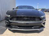 Used 2021 Ford Mustang Coupe w/ Equipment Group 101A image 2