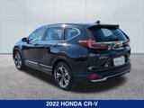 Used 2022 Honda CR-V Special Edition image 3