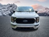 Certified 2023 Ford F150 XLT w/ Equipment Group 301A Mid image 3