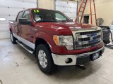 Used 2013 Ford F150 XLT w/ Luxury Equipment Group image 3