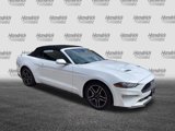 Used 2022 Ford Mustang Premium image 2