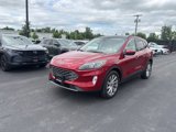 Used 2021 Ford Escape Titanium w/ Titanium Elite Package image 3