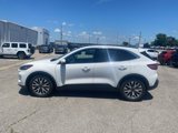 Used 2020 Ford Escape Titanium image 2