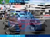 View Video