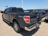 Used 2014 Ford F150 XLT w/ Equipment Group 302A Luxury image 3