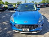 Used 2020 Ford Escape SE image 3