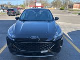 Used 2022 Ford Escape SE w/ Convenience Package image 4