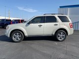 Used 2009 Ford Escape XLT image 3