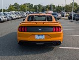Certified 2019 Ford Mustang Coupe w/ Ecoboost Performance Package image 4