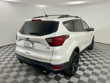 Used 2019 Ford Escape SEL image 5