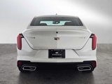 New 2025 Cadillac CT4 Premium Luxury image 4