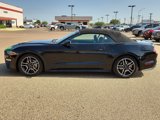 Used 2022 Ford Mustang Premium image 2