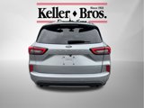 Used 2023 Ford Escape ST-Line w/ Tech Pack #1 image 4