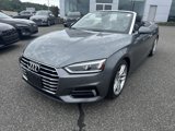 Used 2019 Audi A5 2.0T Premium Plus w/ Premium Plus image 2