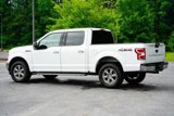 Used 2019 Ford F150 XLT w/ Equipment Group 302A Luxury image 4