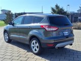 Used 2016 Ford Escape SE image 4