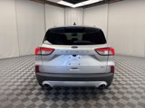 Used 2020 Ford Escape Titanium image 5