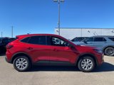 New 2025 Ford Escape Active w/ Cold Weather Package image 4