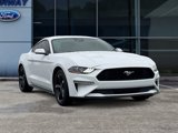 Certified 2022 Ford Mustang Coupe w/ Equipment Group 101A image 3