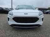 Used 2020 Ford Escape SE image 2