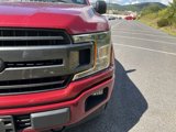 Used 2019 Ford F150 XLT w/ Equipment Group 302A Luxury image 2