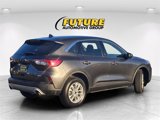 Certified 2020 Ford Escape SE image 4