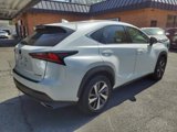 Used 2020 Lexus NX 300 AWD w/ Premium Package image 3