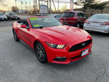 Used 2016 Ford Mustang Premium image 5