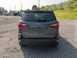 Used 2021 Ford EcoSport SE image 4