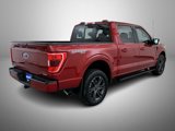 Used 2022 Ford F150 XLT w/ Equipment Group 302A High image 5