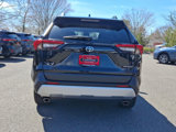 Certified 2024 Toyota RAV4 Adventure image 6