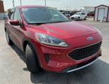 Used 2020 Ford Escape SE image 2
