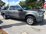 Used 2013 Ford F150 Platinum image 3