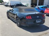 Used 2022 Ford Mustang Premium image 2