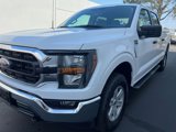 Used 2023 Ford F150 XLT image 5