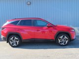 Used 2022 Hyundai Tucson SEL w/ Convenience + Premium Package image 2