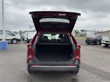 Used 2020 Toyota RAV4 Limited image 5