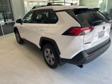 New 2025 Toyota RAV4 XLE w/ Convenience Package image 3