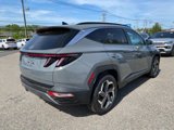 Used 2024 Hyundai Tucson Limited image 3