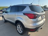 Used 2019 Ford Escape SE image 6