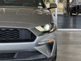 Certified 2020 Ford Mustang Coupe w/ Black Accent Package image 3