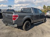 Used 2013 Ford F150 XLT w/ XLT Chrome Pkg image 4