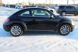 Used 2013 Volkswagen Beetle TDI image 6