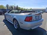 Used 2003 Ford Mustang GT Premium image 5