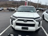 Used 2019 Toyota 4Runner SR5 Premium image 2