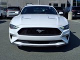 Used 2019 Ford Mustang Coupe w/ Equipment Group 101A image 2