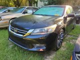 Used 2013 Honda Accord Sport image 3
