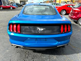 Used 2019 Ford Mustang Coupe image 4