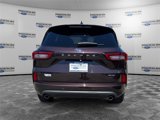 Used 2023 Ford Escape ST-Line Elite image 4
